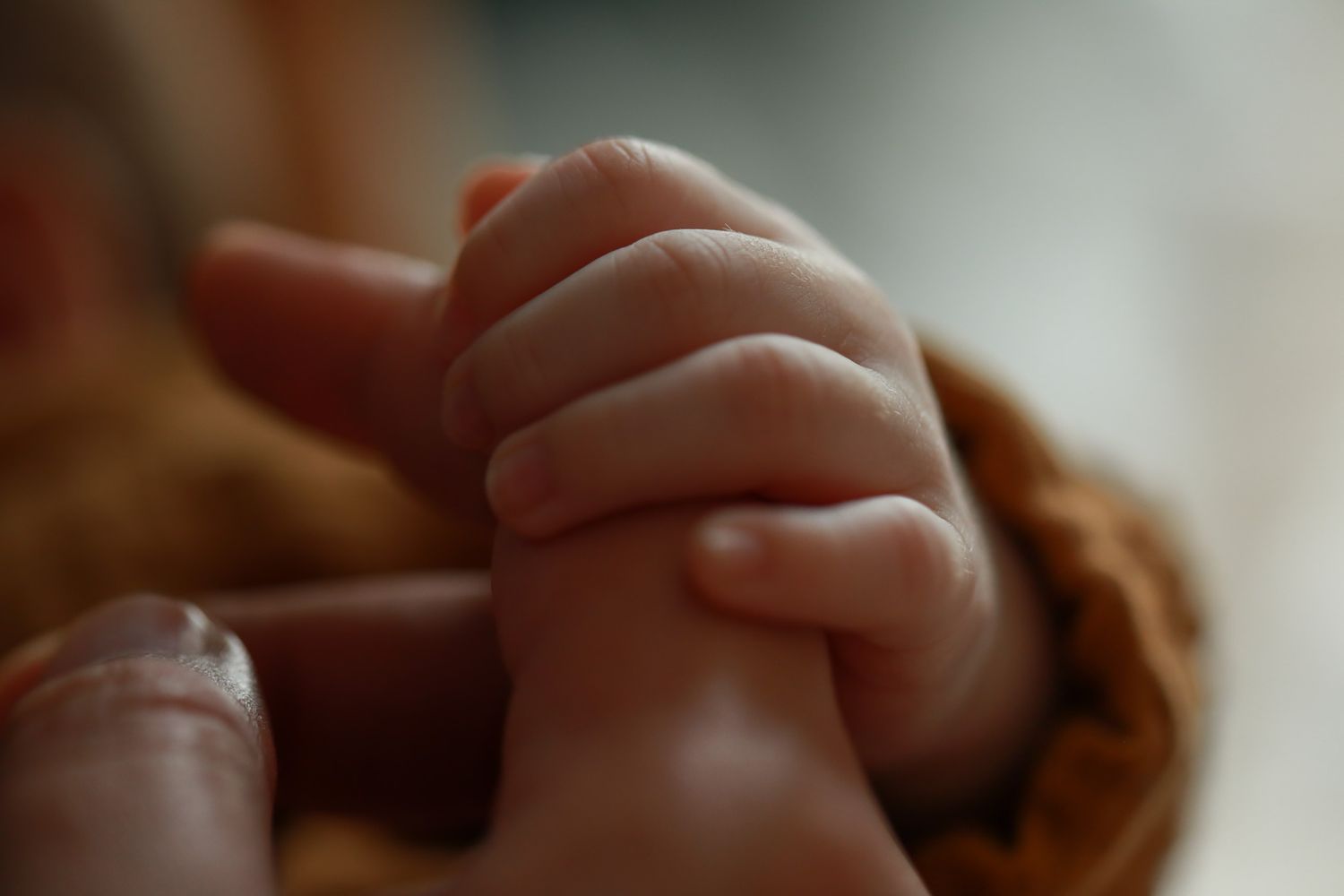 Une petite main tient le doigt de sa maman.