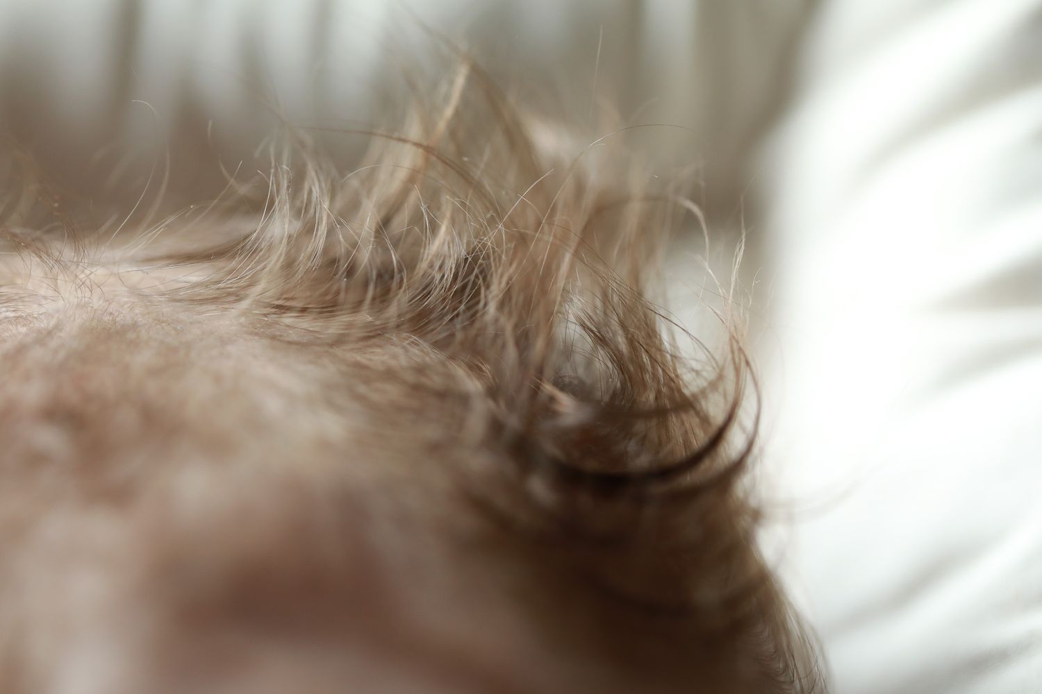 Les petits cheveux blonds d'un bébé dont la maman adore lui faire des petites crêtes