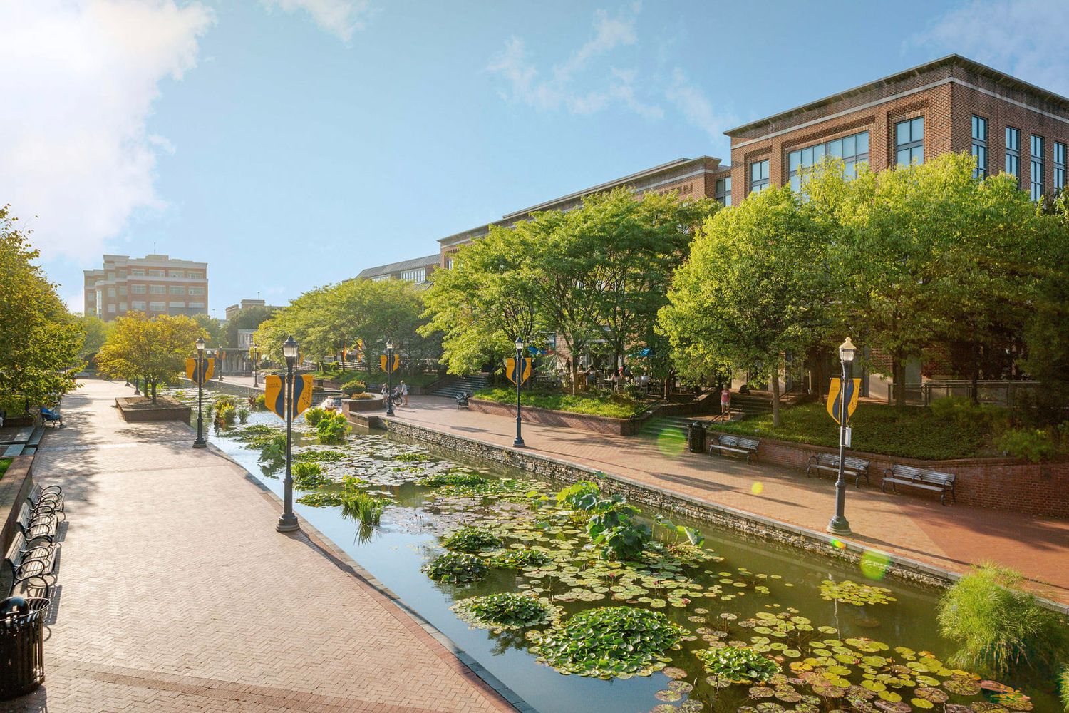 Scenic campus walkway with brick buildings and lily pond on a sunny day.
