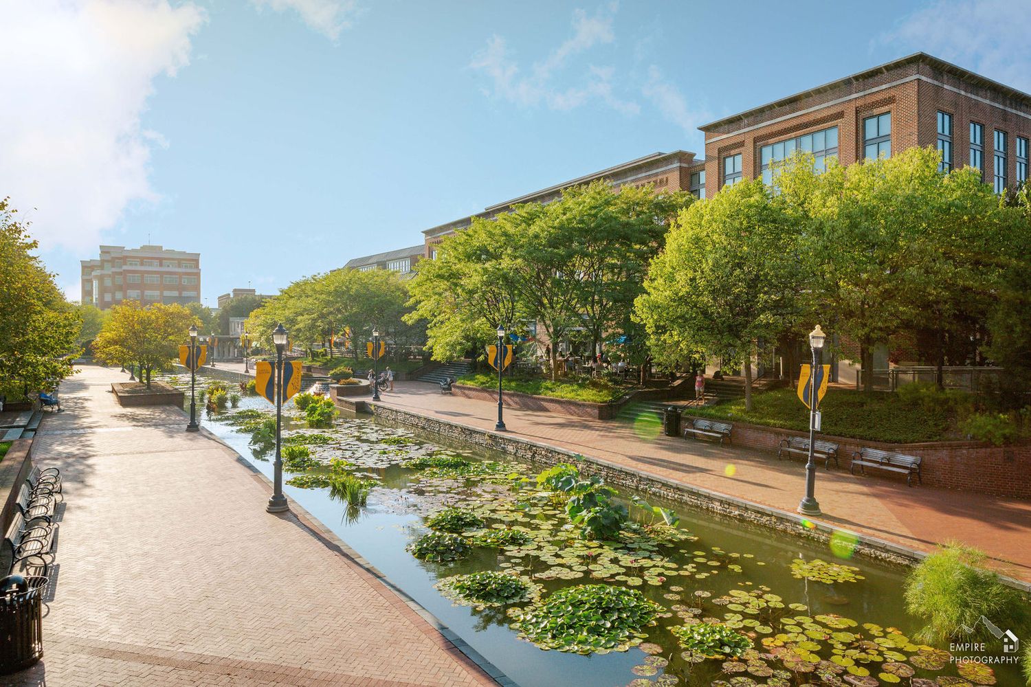 Scenic urban canal lined with lily pads, lush green trees, and brick buildings on a sunny day.