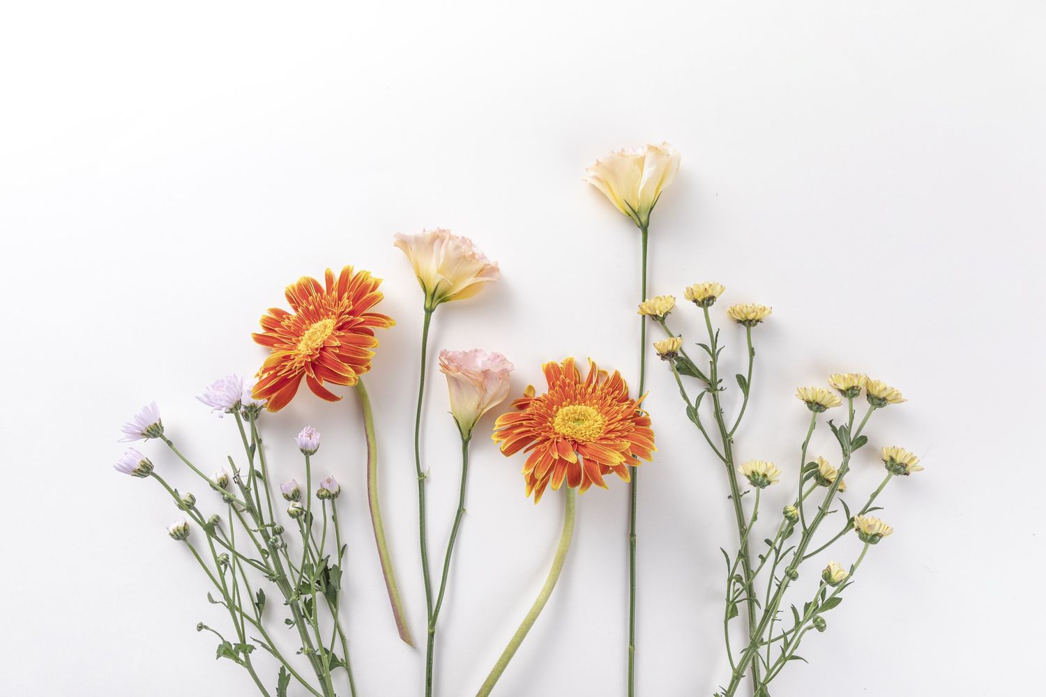 Delicate arrangement of orange gerbera daisies and white flowers on white background.