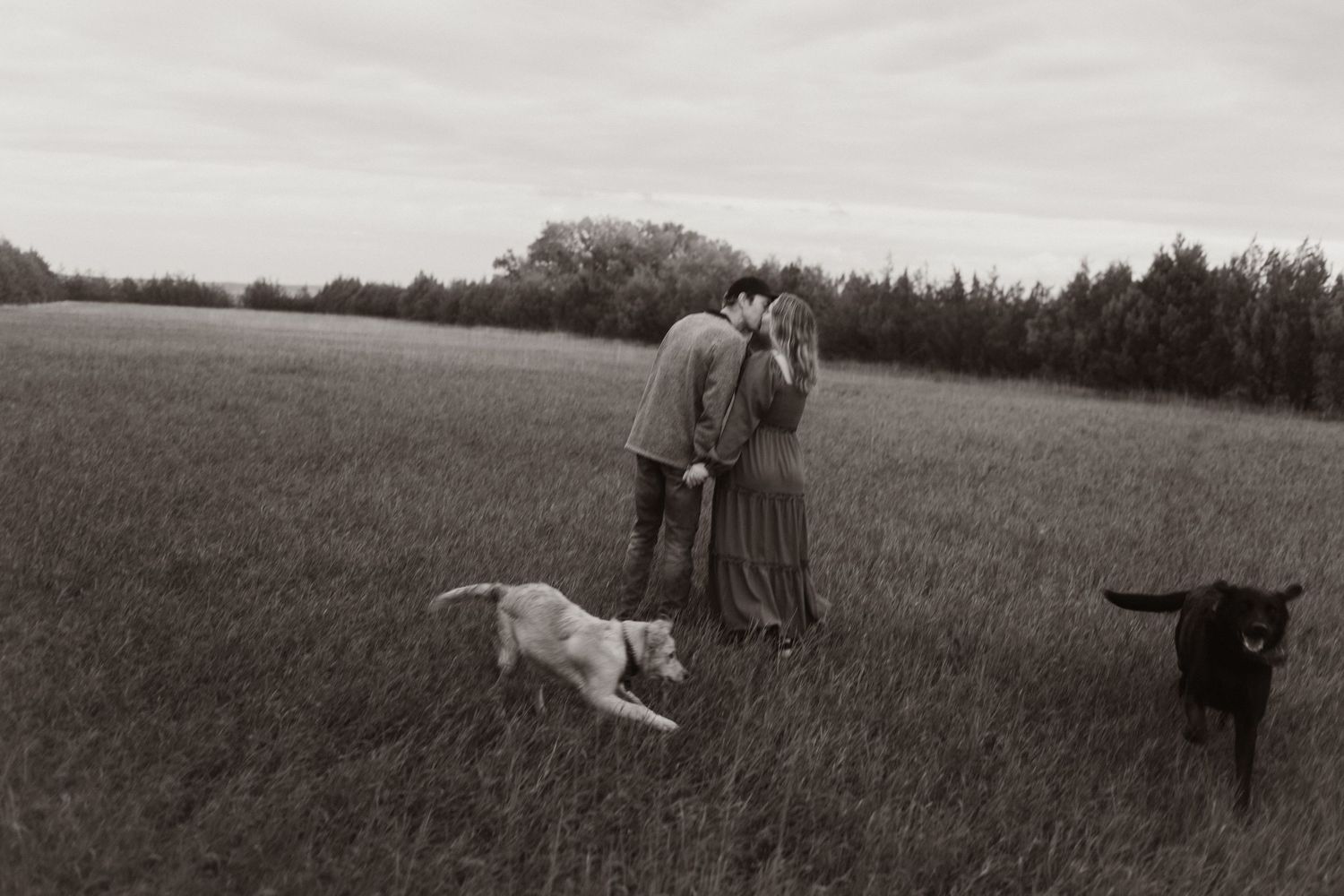 Black and white photograph of people walking through a grassy meadow with a dog.