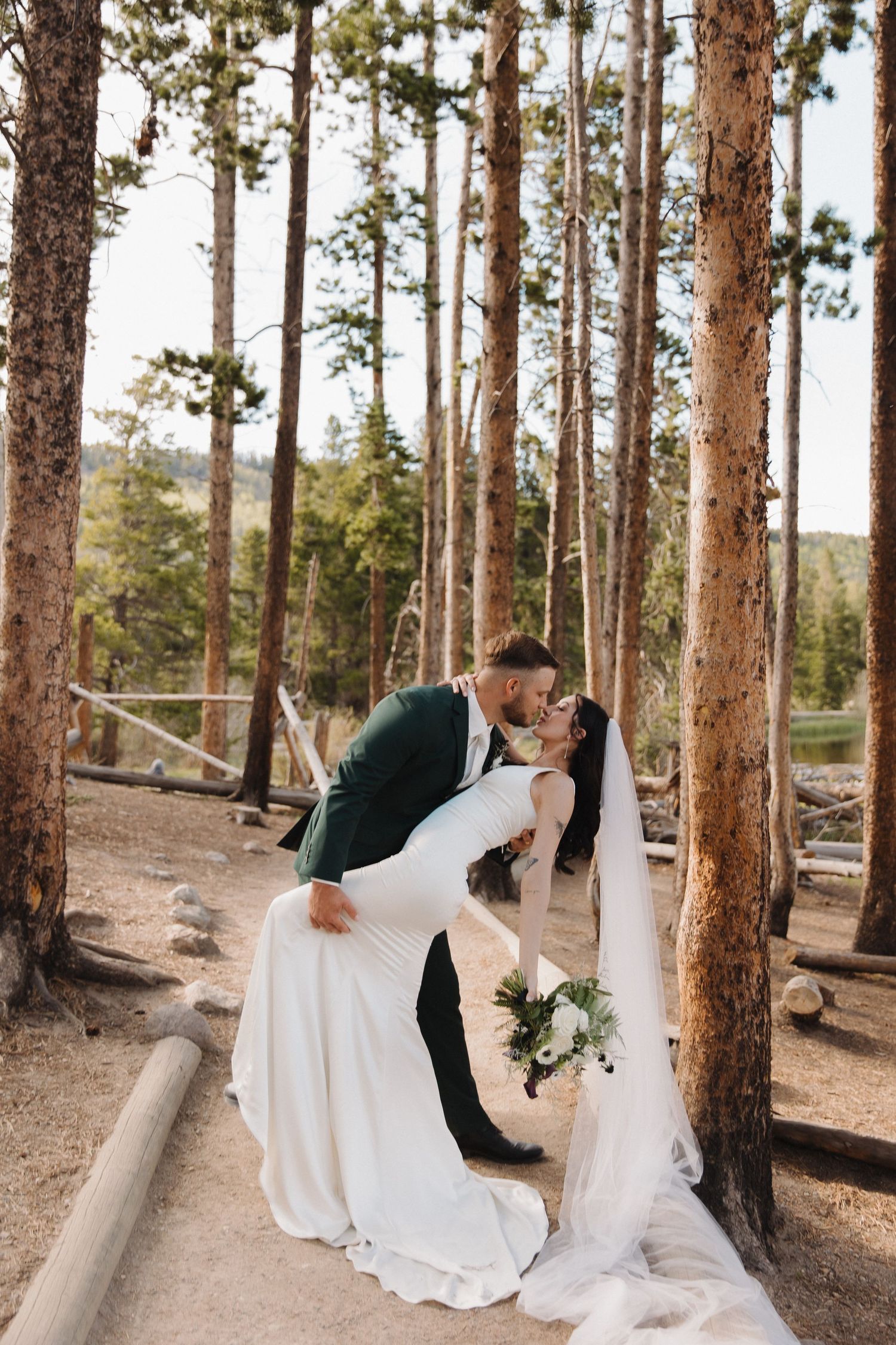 Romantic wedding portraits among tall pine trees showing intimate moments between newlyweds.