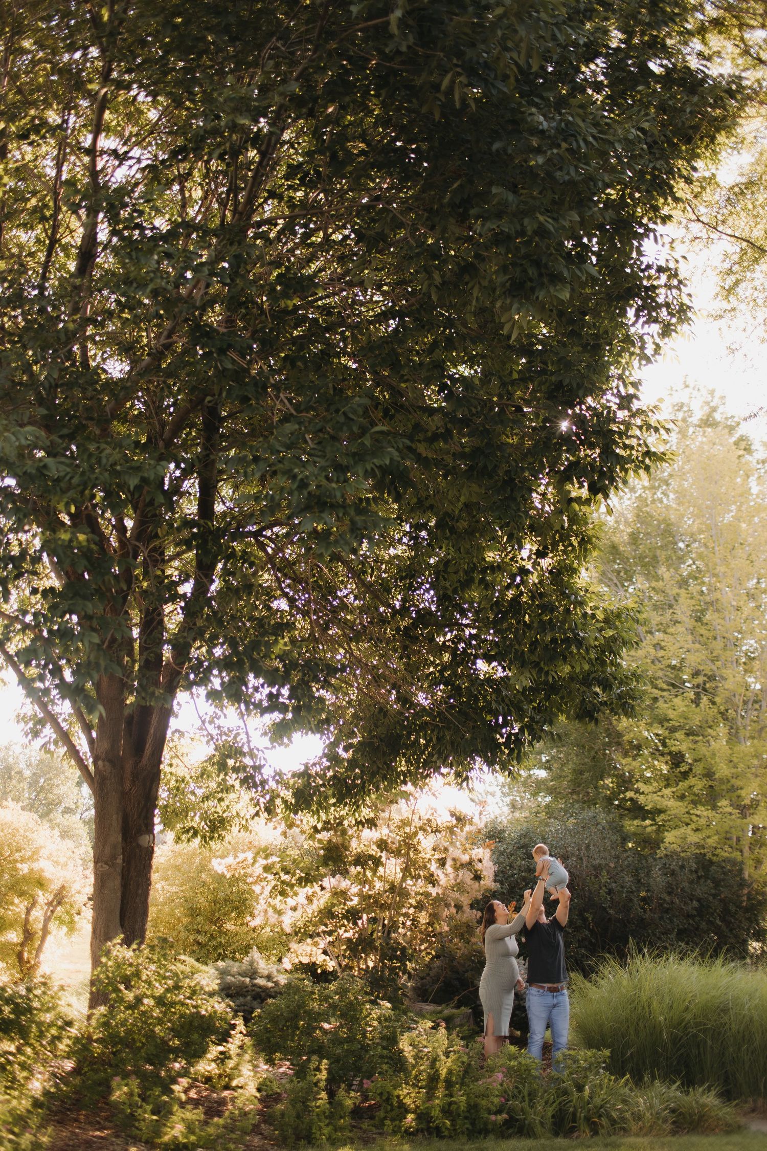 Family portrait under large tree during golden hour in park setting.