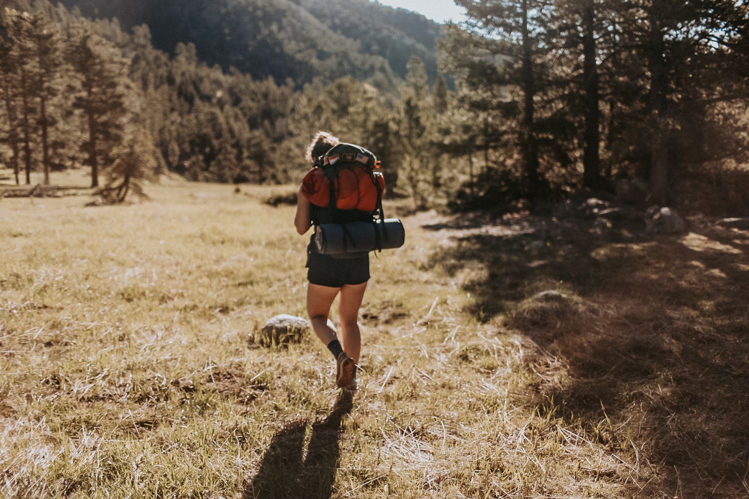 A backpacker runs through a sunlit mountain meadow with pine trees in the background.