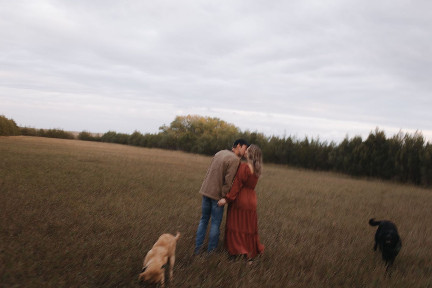Romantic couple walking through golden field at sunset.