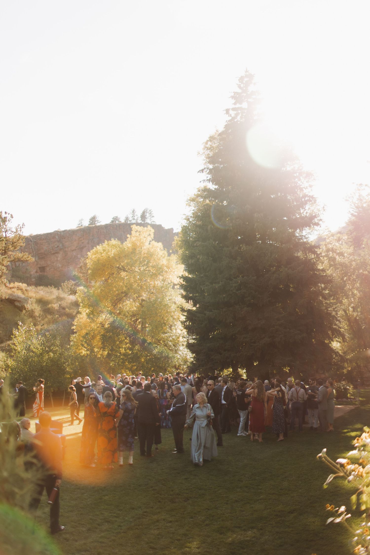 Large group of wedding guests gathered outdoors at sunset with golden light filtering through trees.