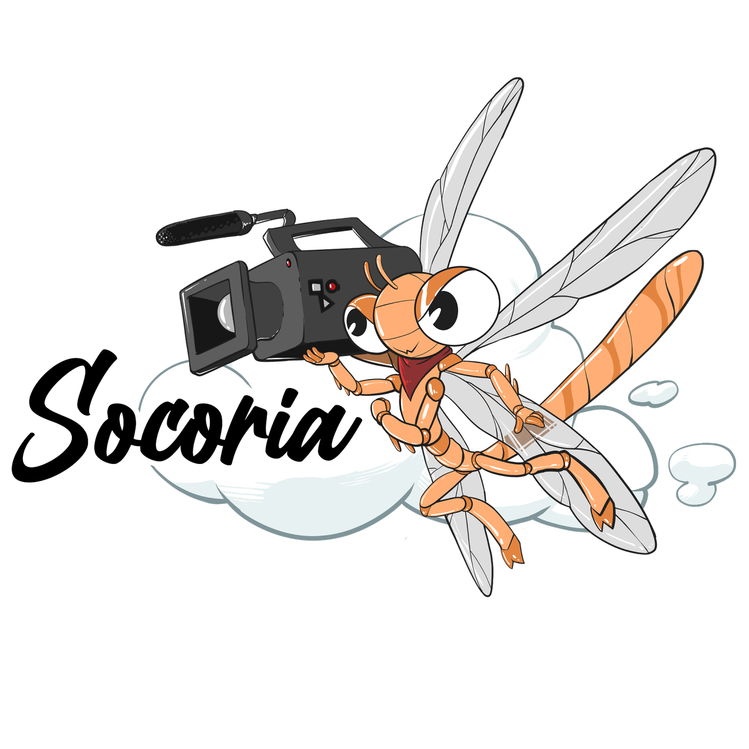 Cartoon dragonfly holding a video camera on a cloud with Socoria text logo for video production.