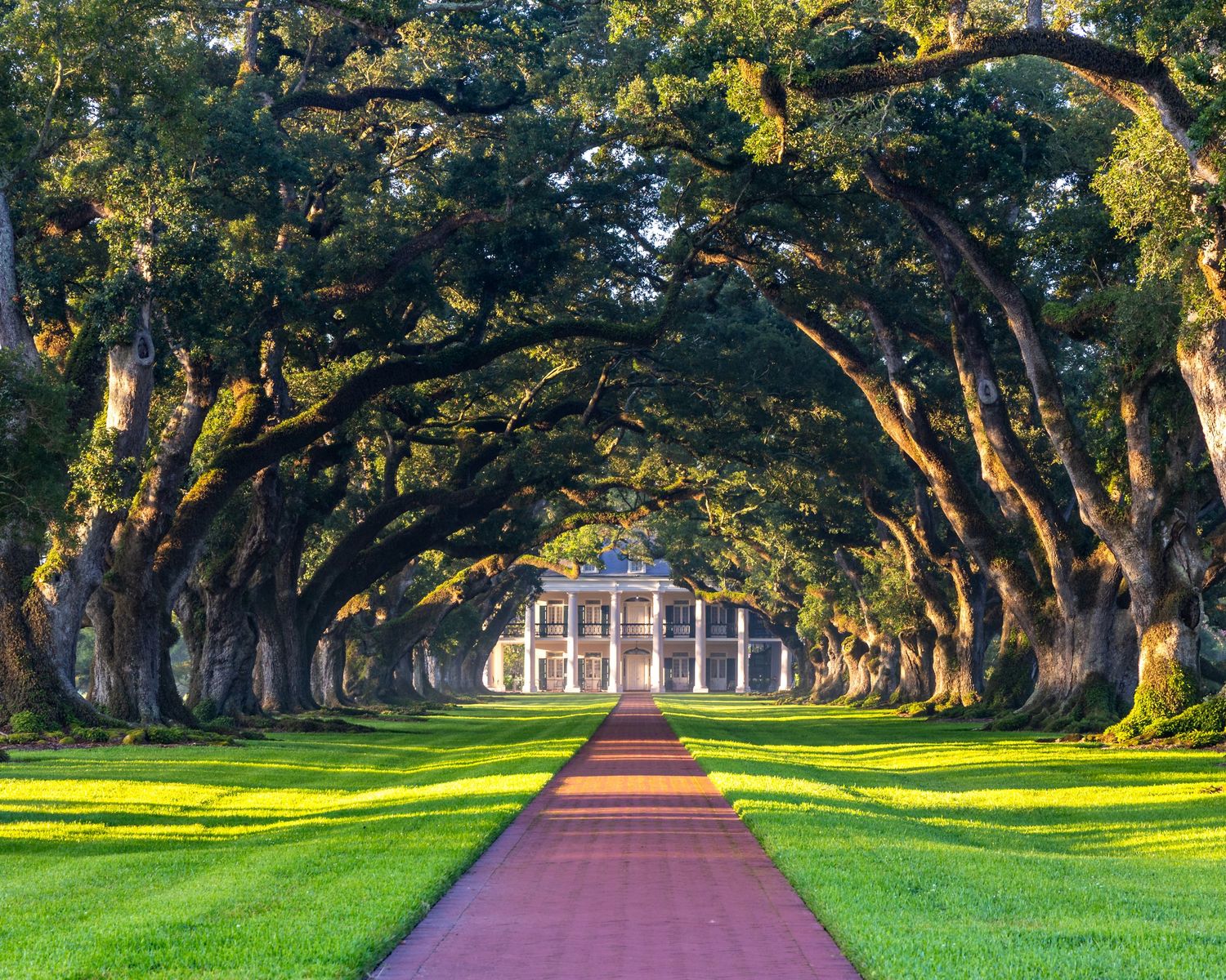 Oak Alley Plantation
