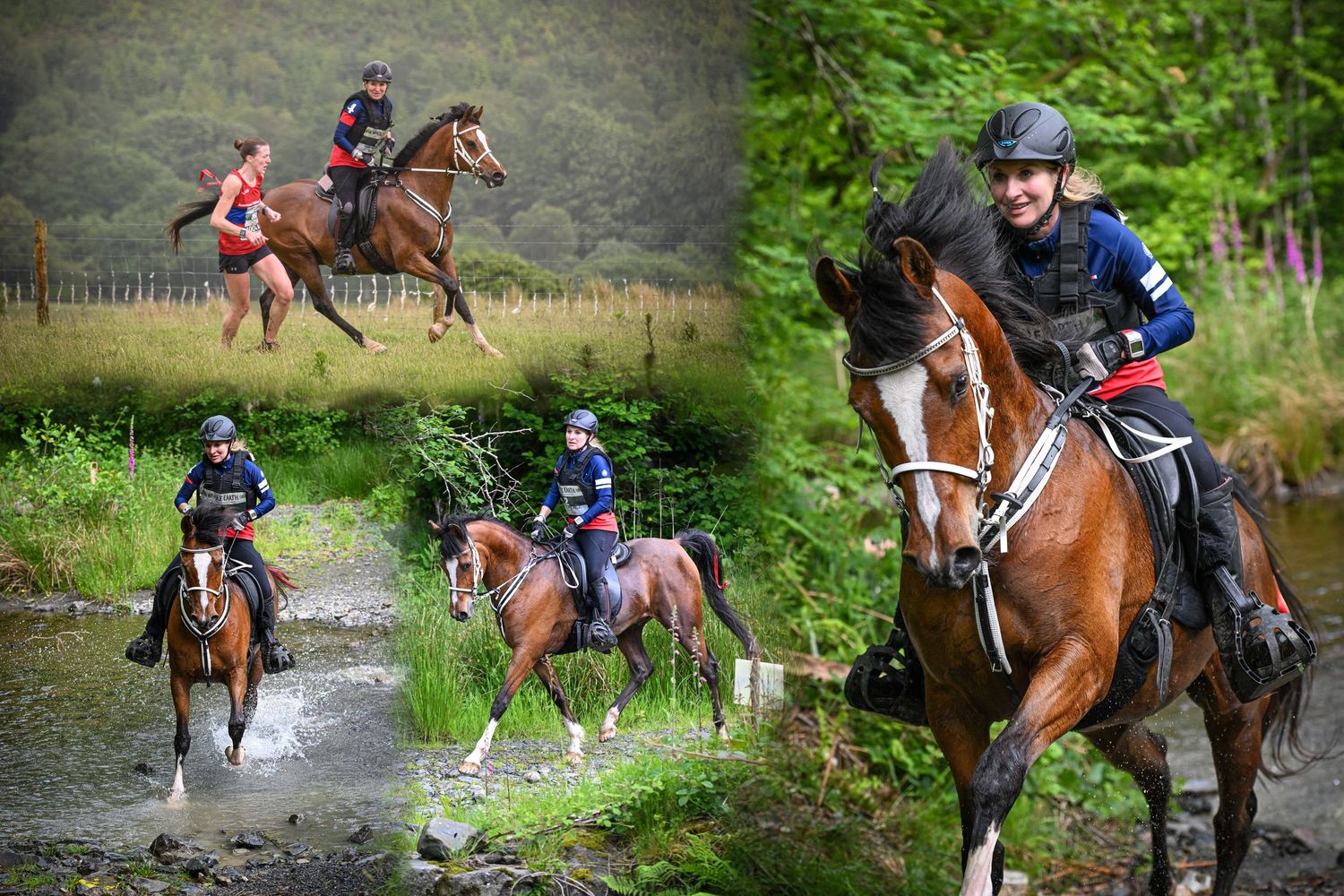 EquinePix Photography Equestrian Photographer Based in Herefordshire events covered throughout Wales and England
