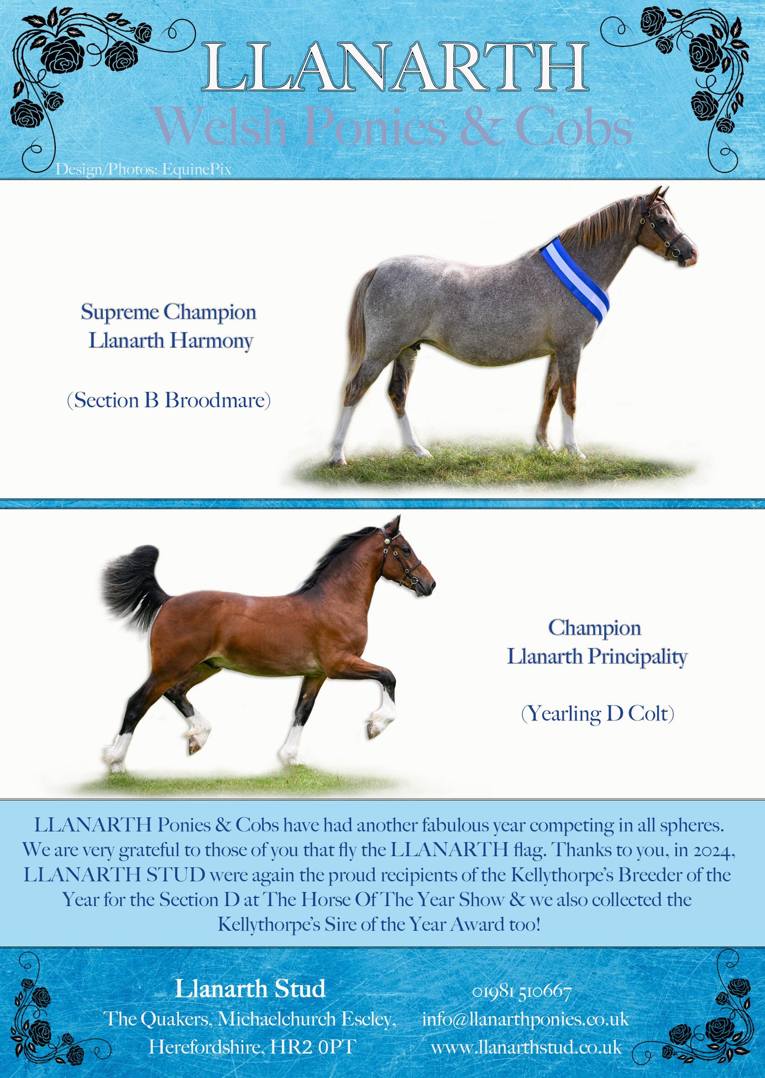 Welsh pony and cob Journal Adverts by EquinePix Photography