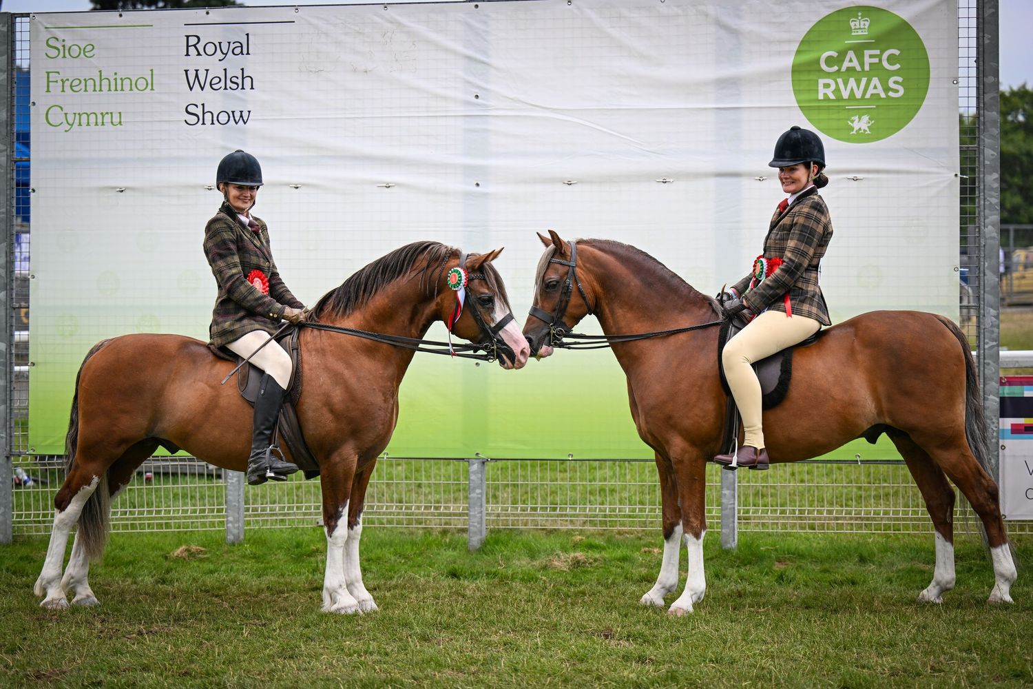 Royal Welsh Photographer