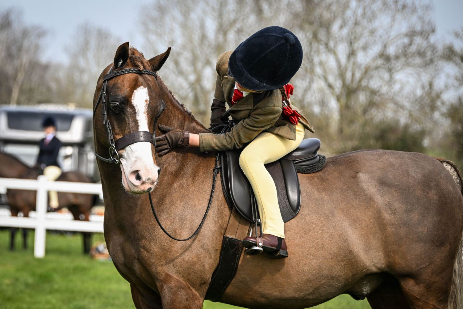 British Show Pony.  BSPS Area 9a Show Photographer