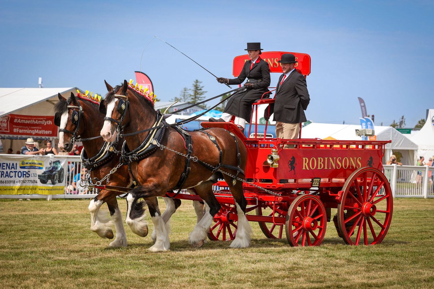 EquinePix Photography Anglesey County Show