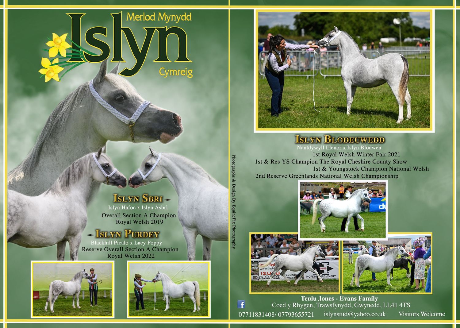 Welsh pony and cob Journal Adverts by EquinePix Photography
