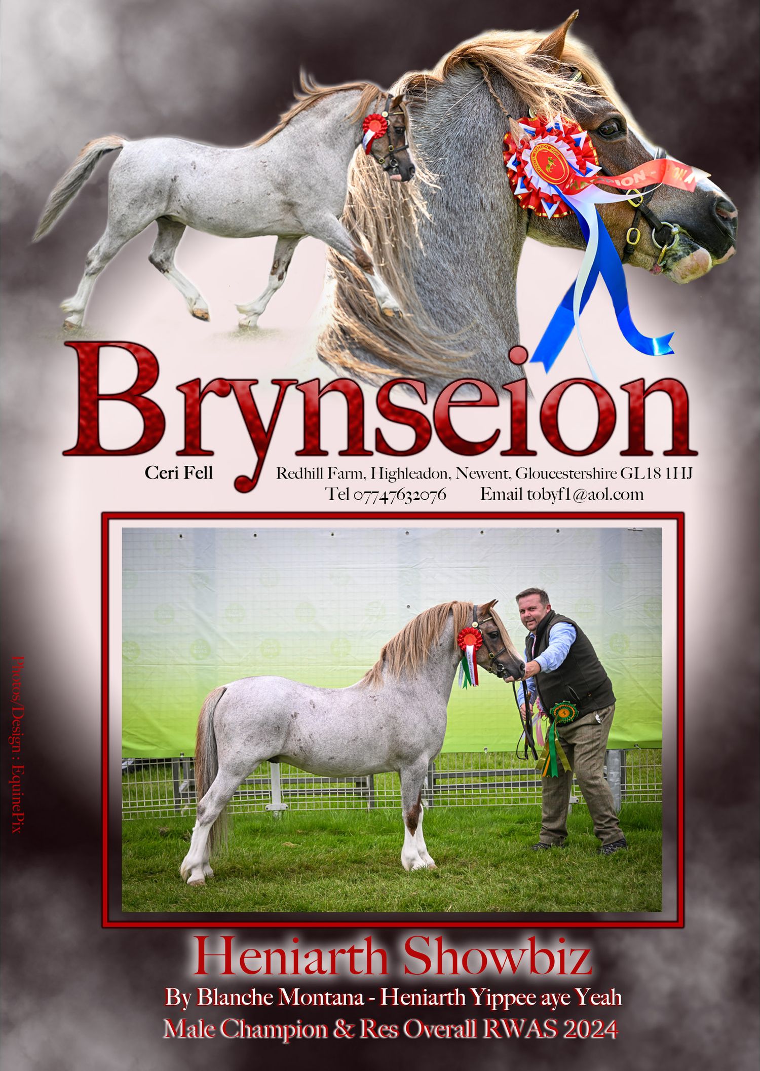 Welsh pony and cob Journal Adverts by EquinePix Photography