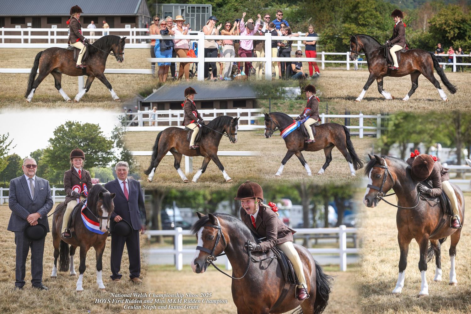 EquinePix Photography Montage