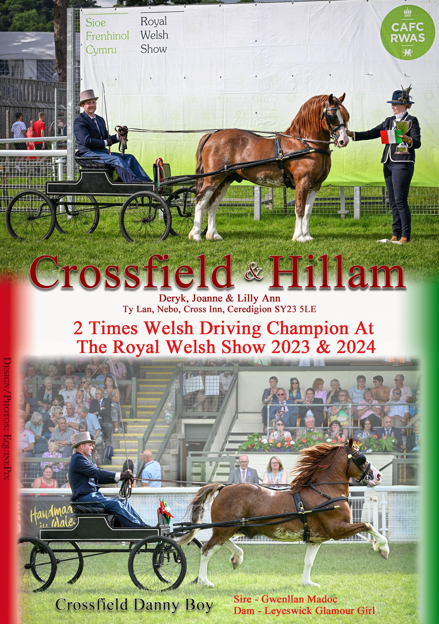 Welsh pony and cob Journal Adverts by EquinePix Photography
