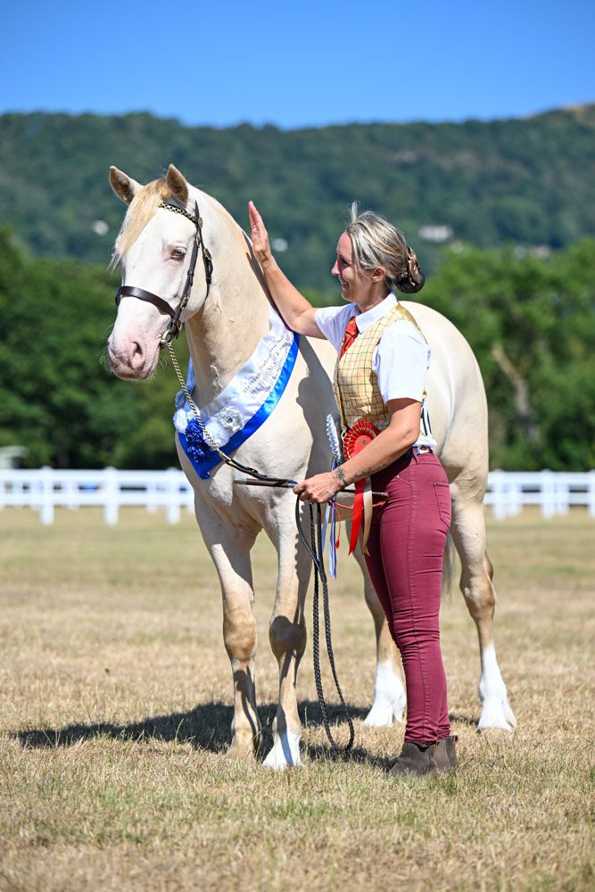 british palomino and dilute society championship show 2026 photographer