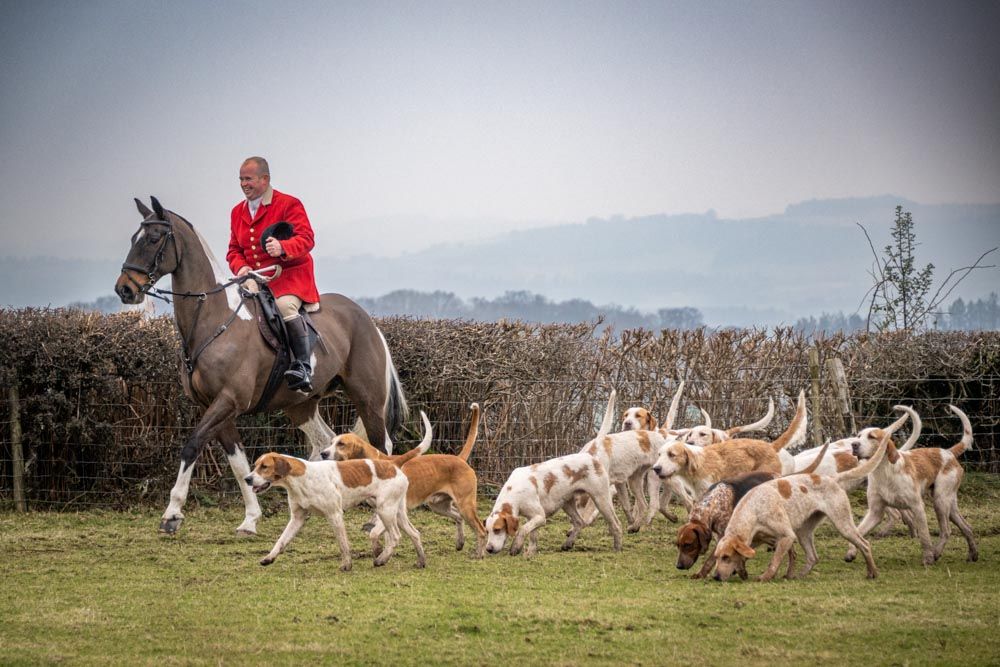 Stud photography by Equinepix