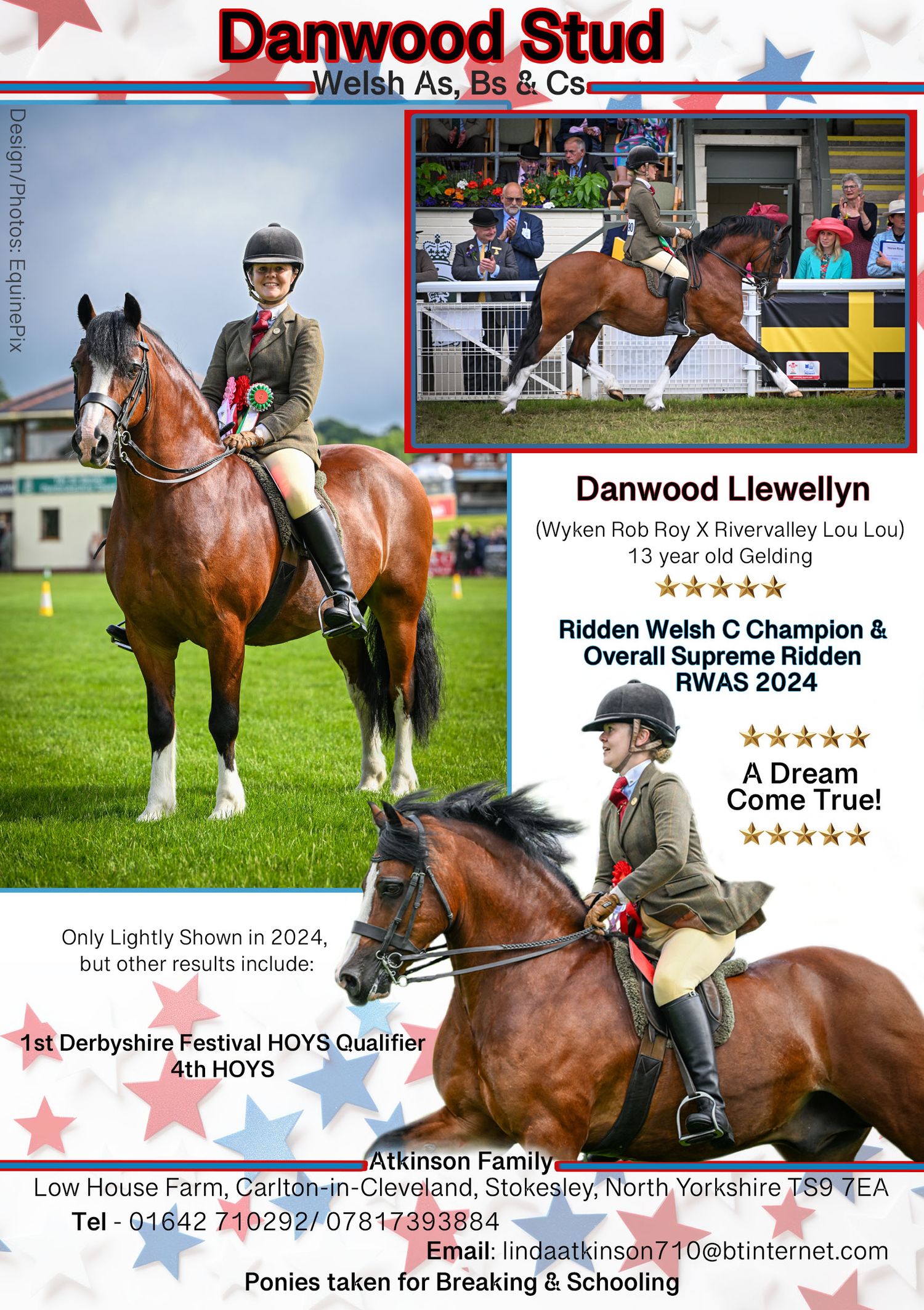 Welsh pony and cob Journal Adverts by EquinePix Photography
