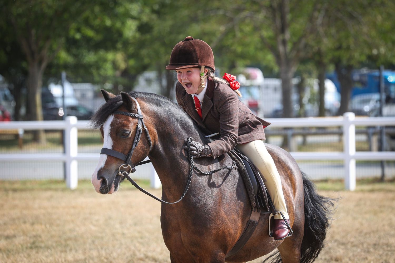 EquinePix Photography National Welsh Championship show Photographer