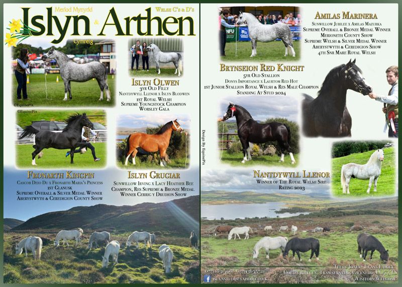 Welsh pony and cob Journal Adverts by EquinePix Photography