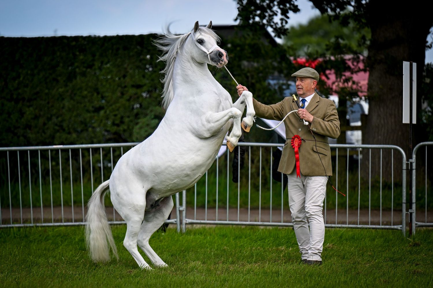 EquinePix Photography Royal Cheshire Photographer