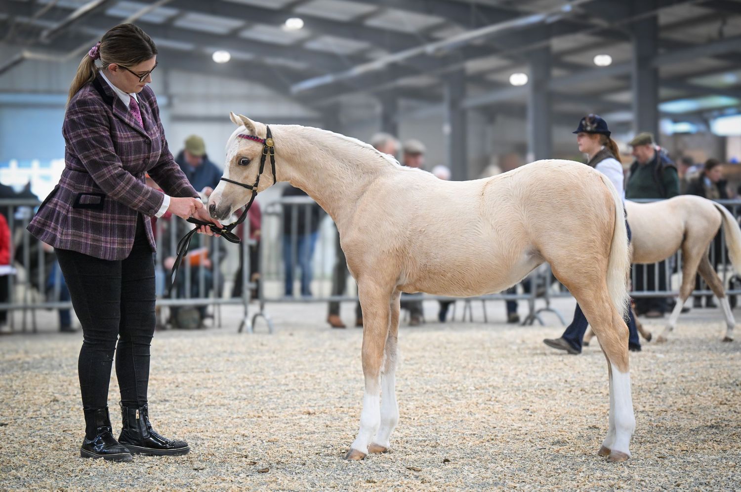 EquinePix Photography