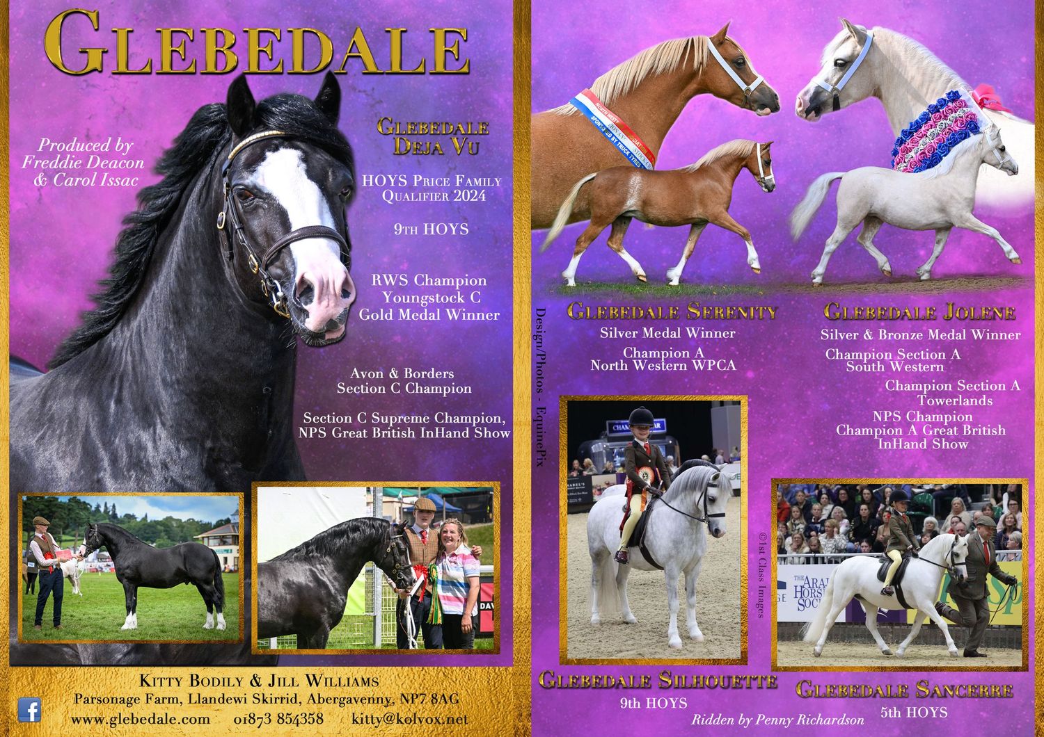 Welsh pony and cob Journal Adverts by EquinePix Photography