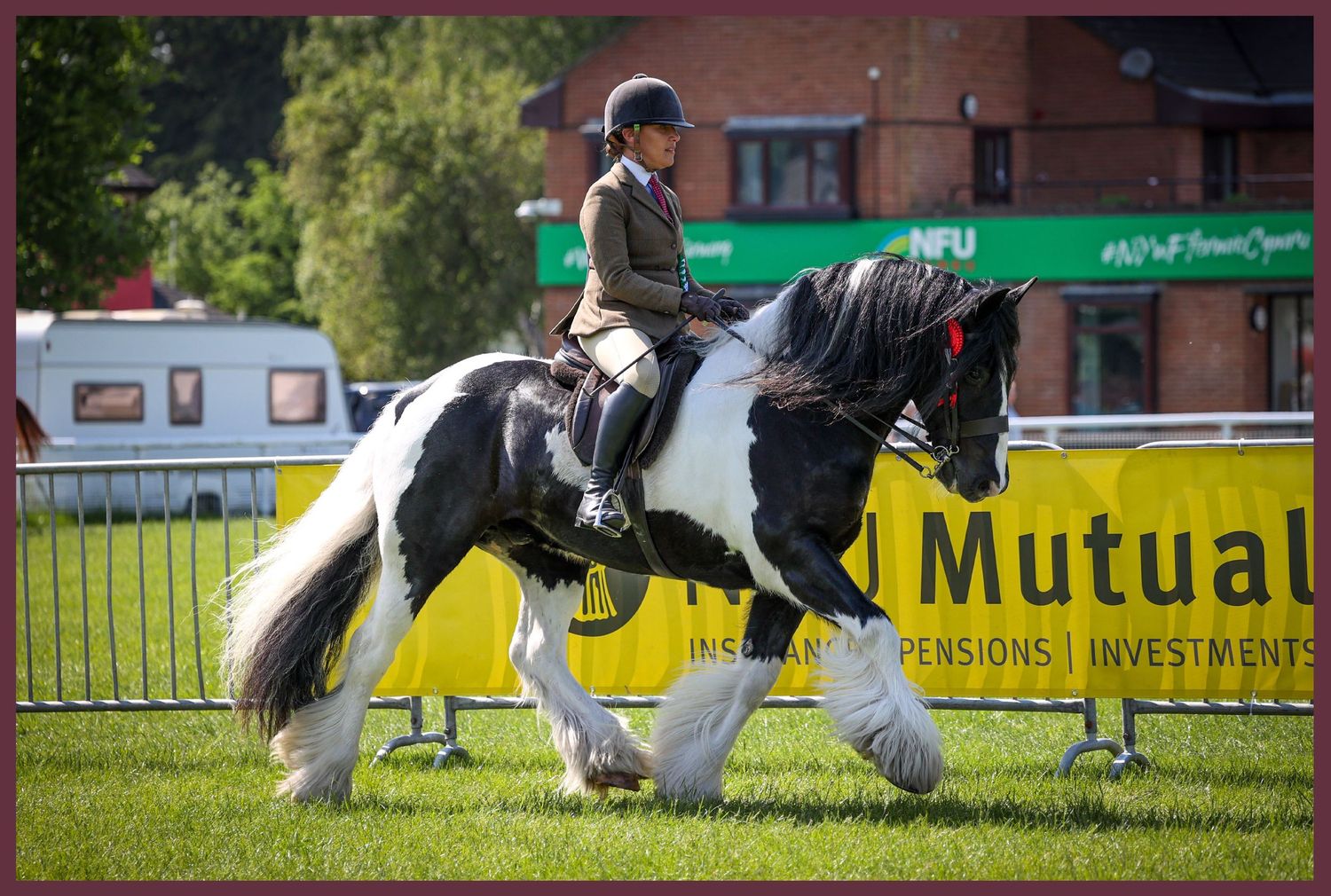 EquinePix Photography RWAS Photographer