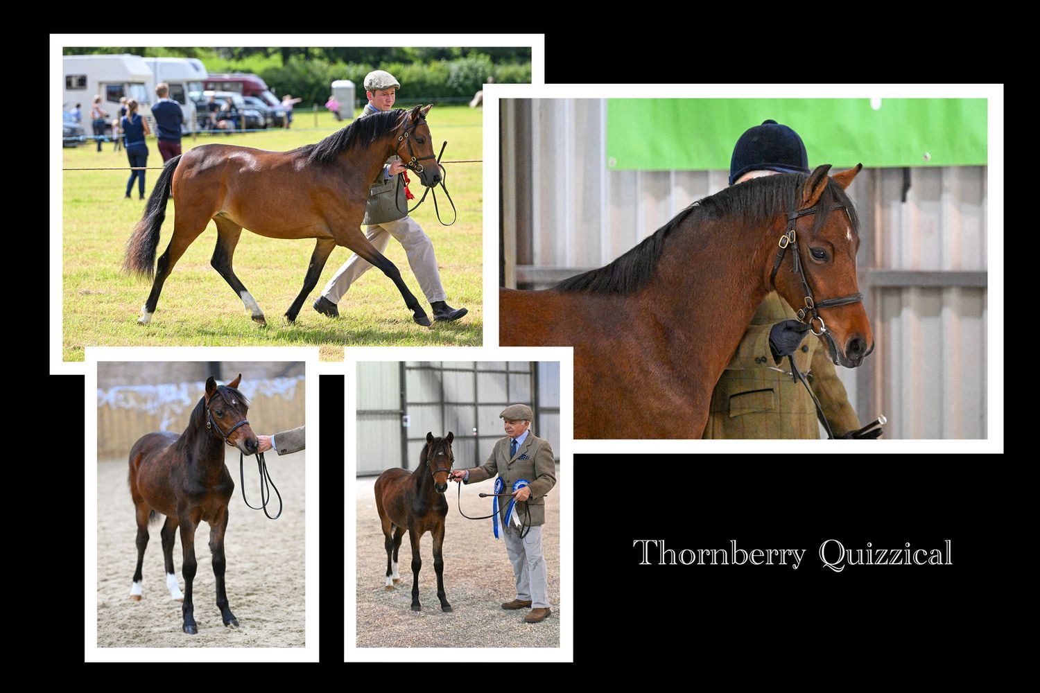 EquinePix Photography Equestrian Photographer Based in Herefordshire events covered throughout Wales and England