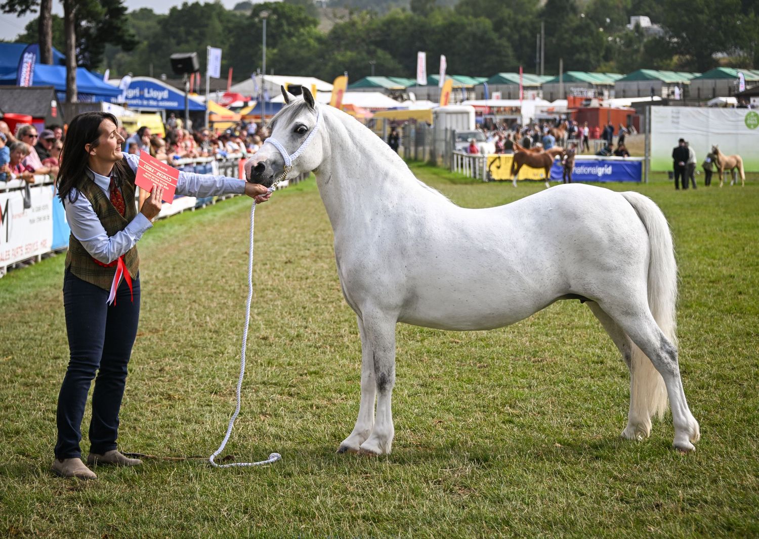 EquinePix Photography