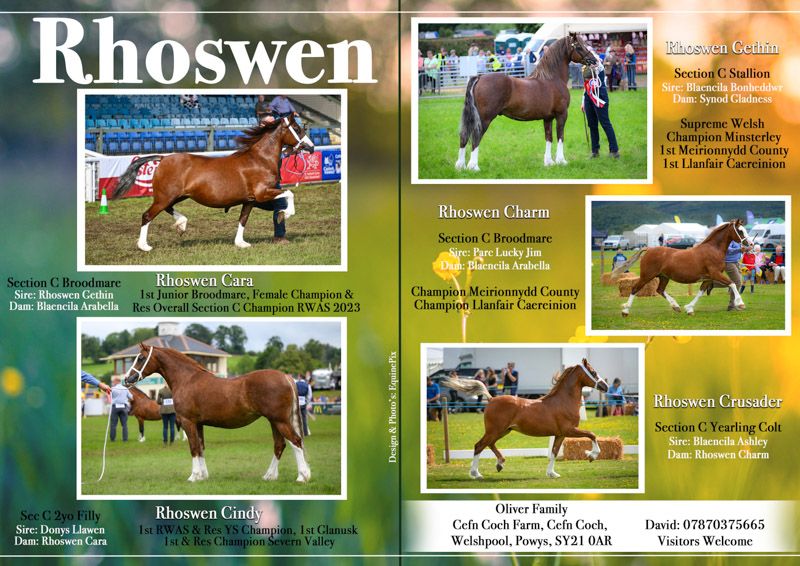 Welsh pony and cob Journal Adverts by EquinePix Photography