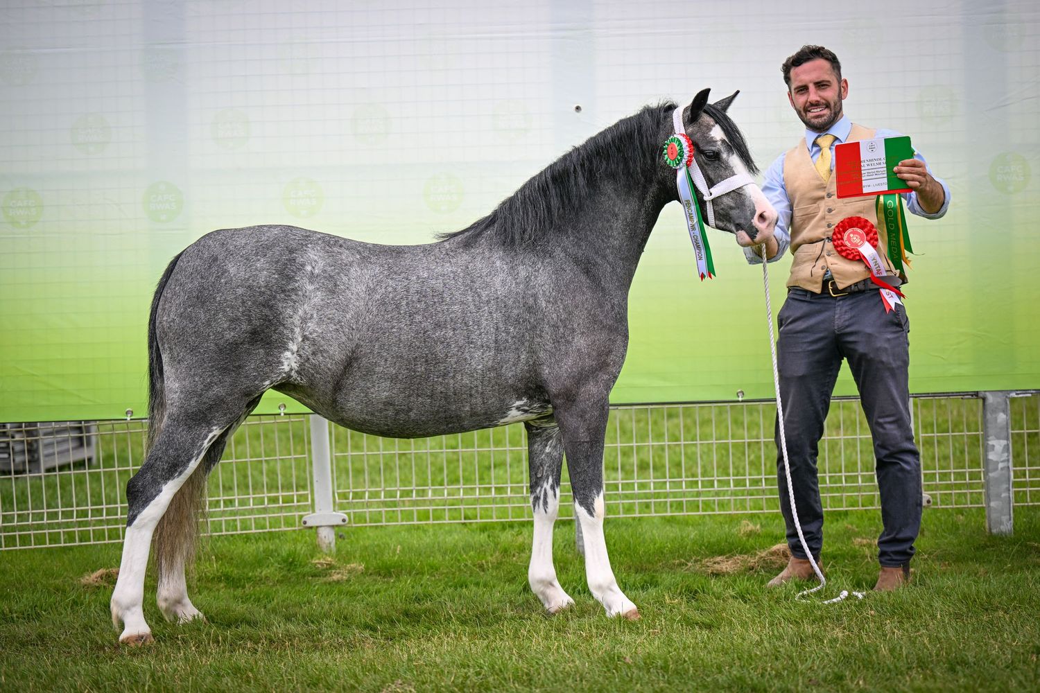 Royal Welsh Photographer