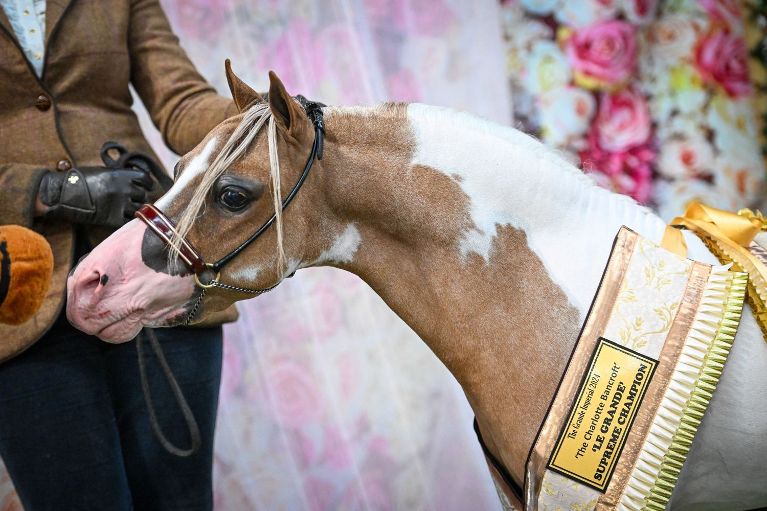 EquinePix Photography Equestrian Photographer Based in Herefordshire events covered throughout Wales and England