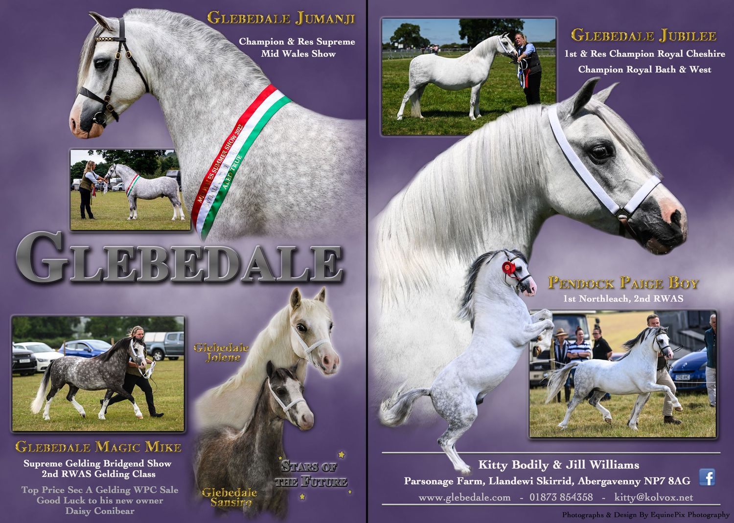 Glebedale Stud Welsh pony and cob Journal Adverts by EquinePix Photography