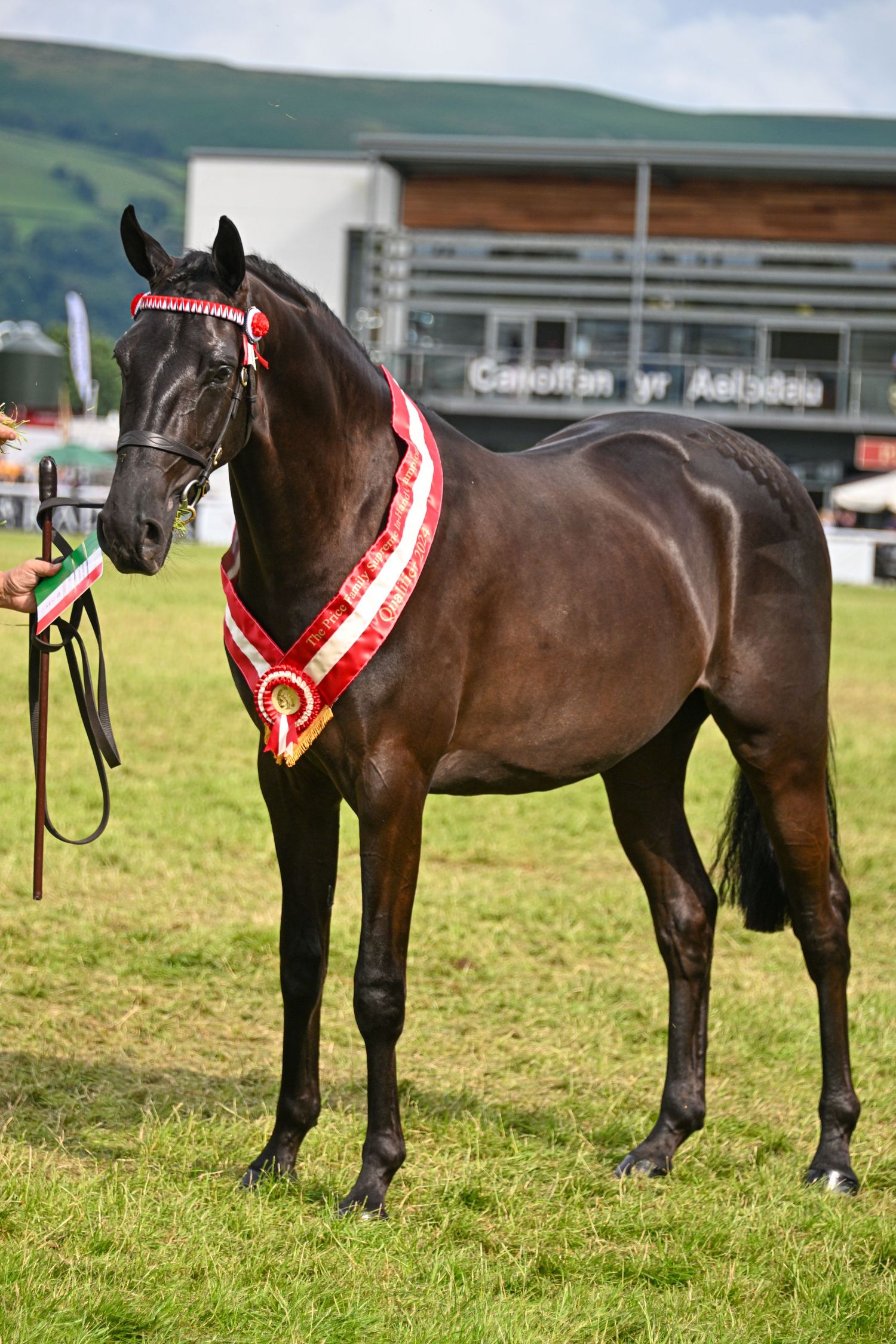 EquinePix Photography RWAS