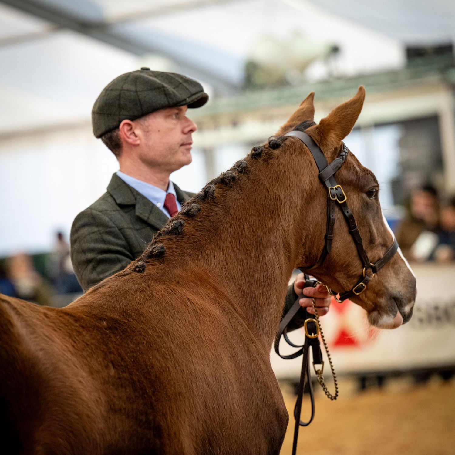 EquinePix Photography