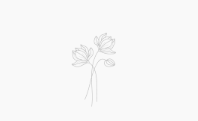 Illustration de fleurs au trait / Line drawing of flowers