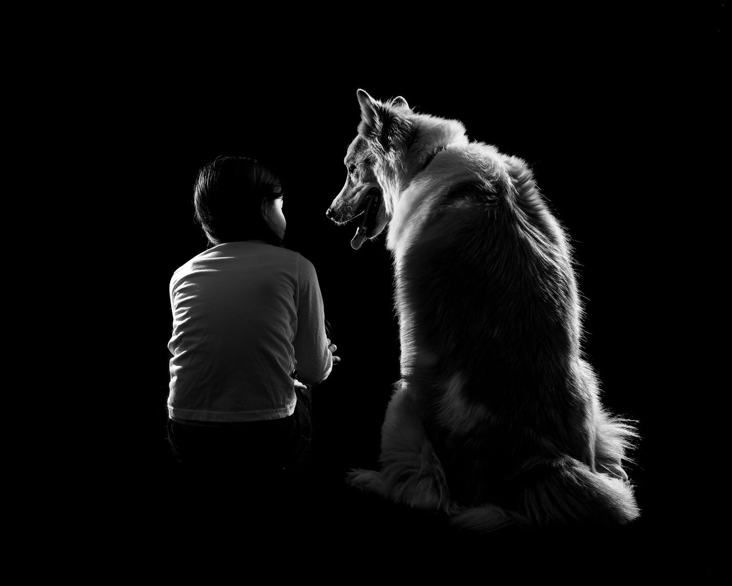 Little girl sitting next to her large shepherd looking at each other