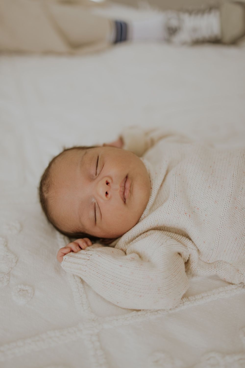 geelong melbourne newborn maternity family couples photographer photography