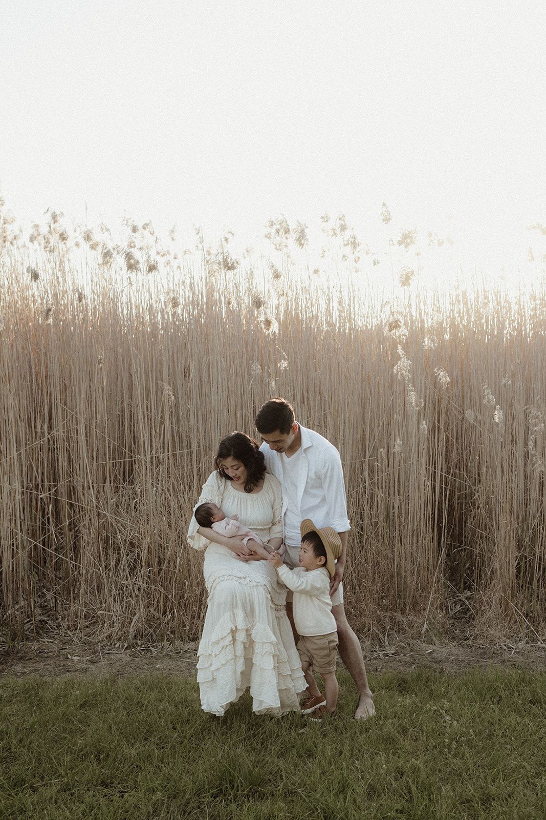 Family of four with newborn posing in white outfits before tall golden reeds in a serene outdoor setting.