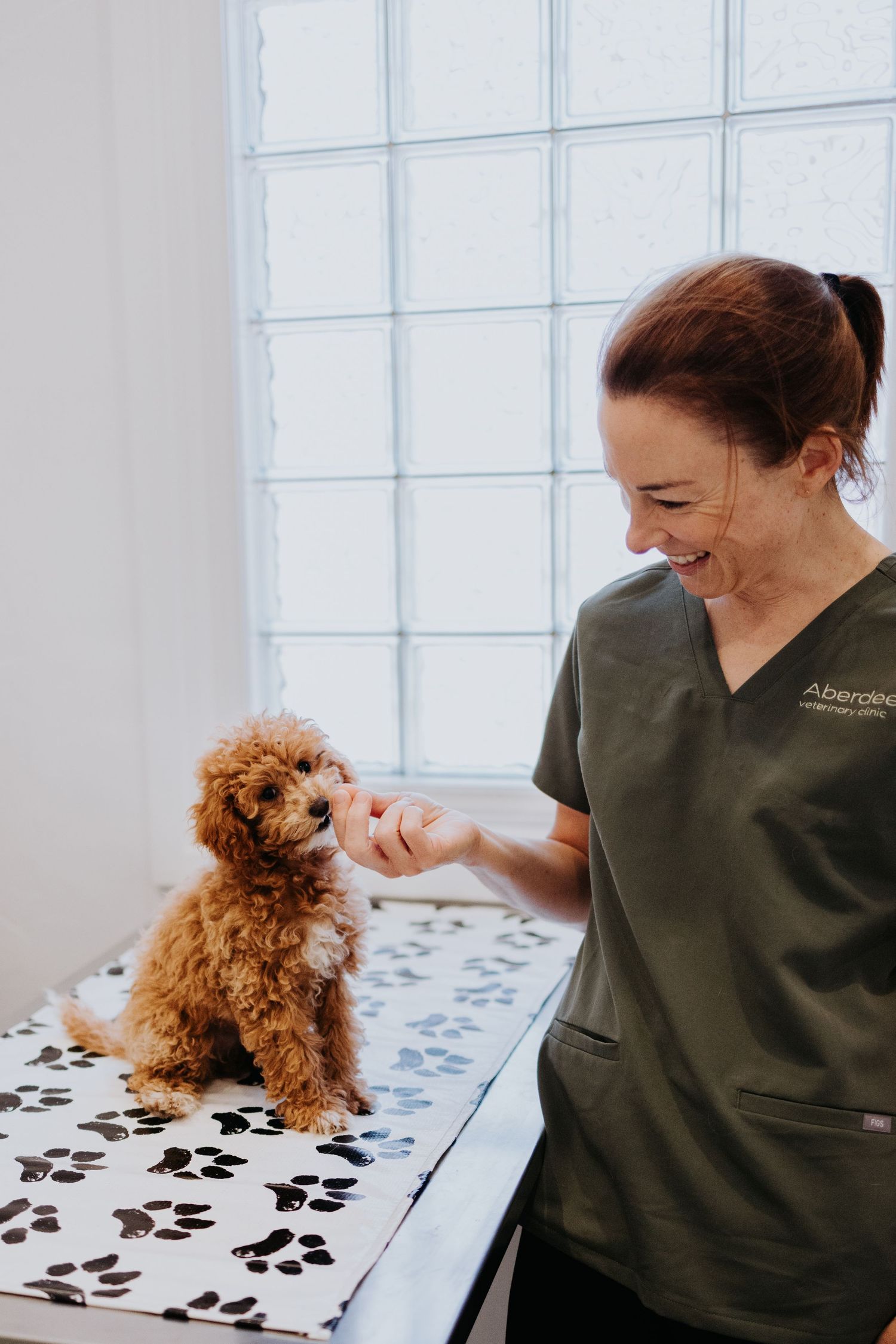 Veterinary nurse in olive scrubs smiling at a fluffy brown cavoodle puppy on a paw print examination table.