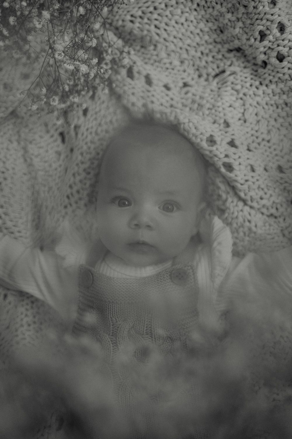 Geelong Melbourne newborn maternity family couples photographer photography