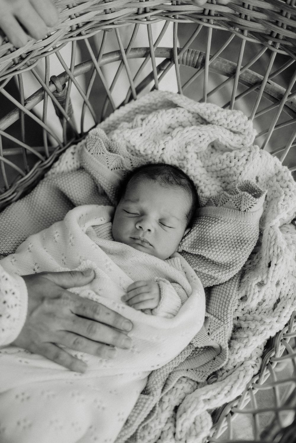 geelong melbourne newborn maternity family couples photographer photography