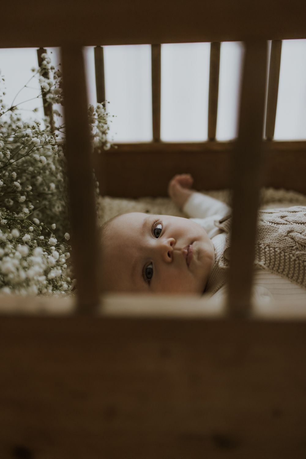 Geelong Melbourne newborn maternity family couples photographer photography