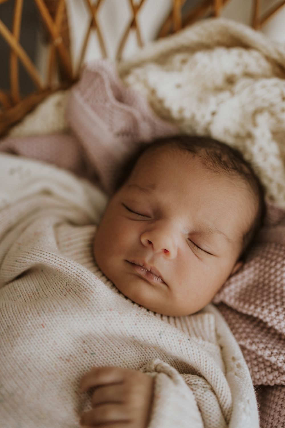 geelong melbourne newborn maternity family couples photographer photoshoot