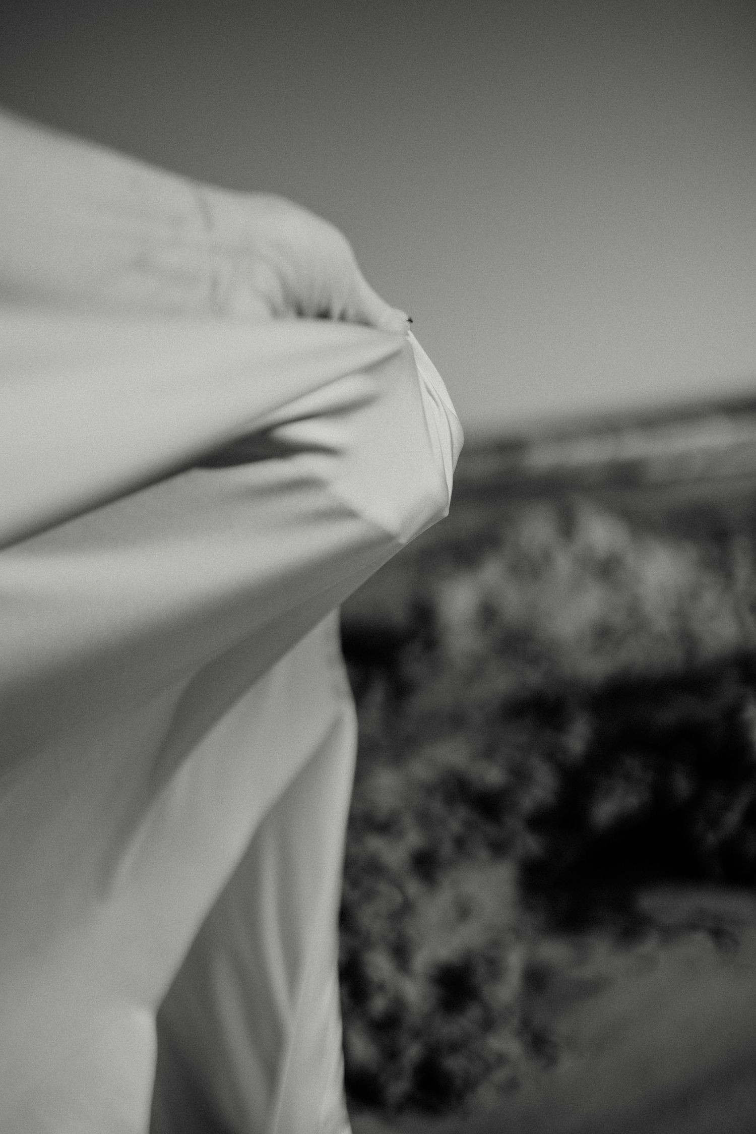 Black and white photo of white fabric billowing in the wind against a blurred landscape background.