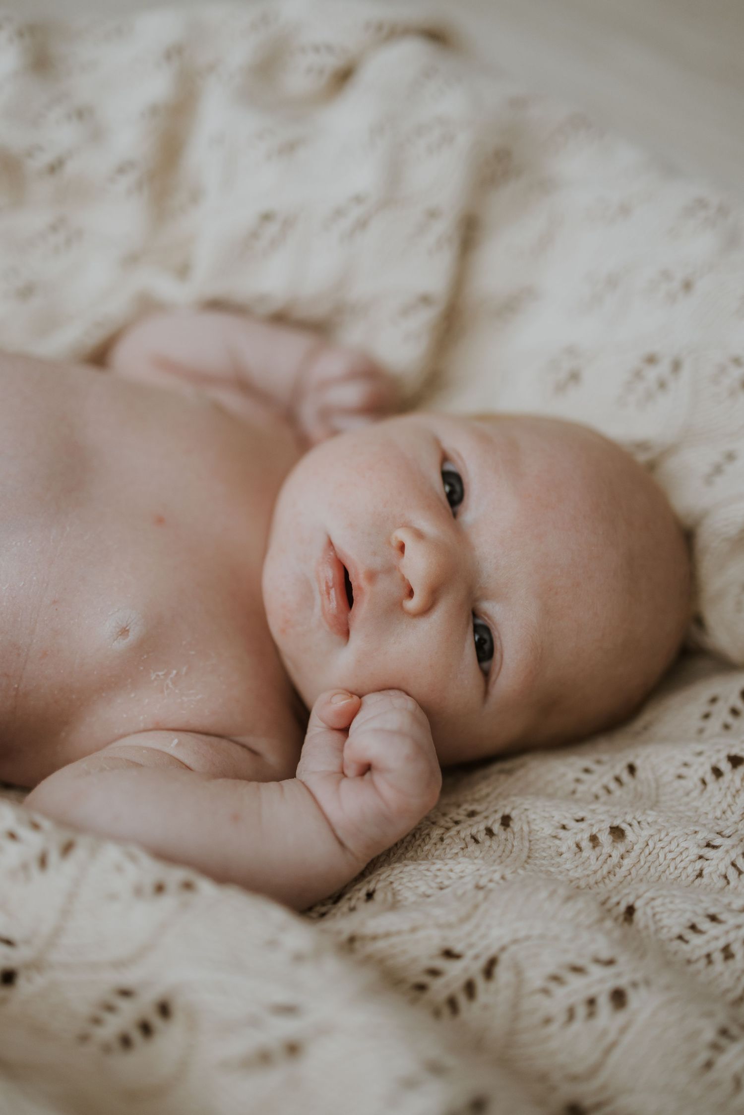 Geelong Melbourne newborn maternity family couples photographer photography